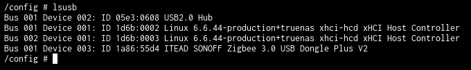 output from lsusb